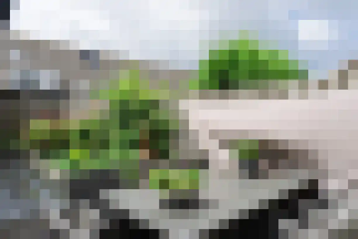 Kouwerve 12 Bergen op Zoom thumbnail 27