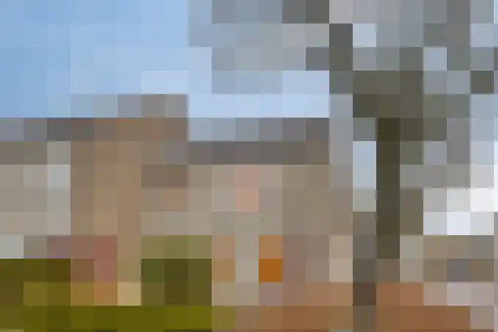 Kouwerve 13 in Bergen op Zoom