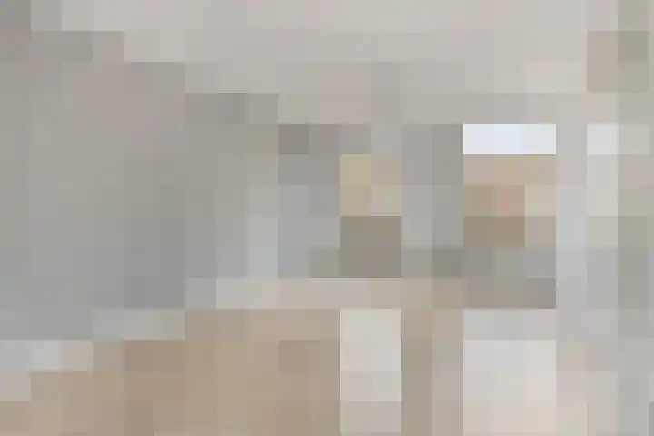 Kouwerve 5 Bergen op Zoom thumbnail 11