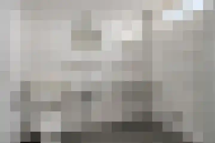 Kouwerve 5 Bergen op Zoom thumbnail 23