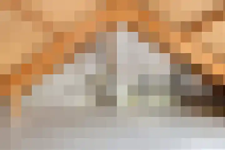 Kouwerve 5 Bergen op Zoom thumbnail 32