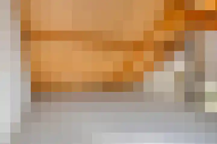 Kouwerve 5 Bergen op Zoom thumbnail 33
