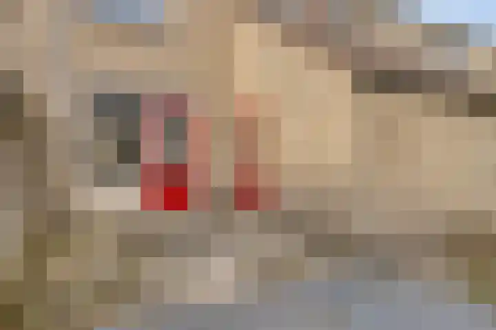 Kouwerve 5 Bergen op Zoom thumbnail 36