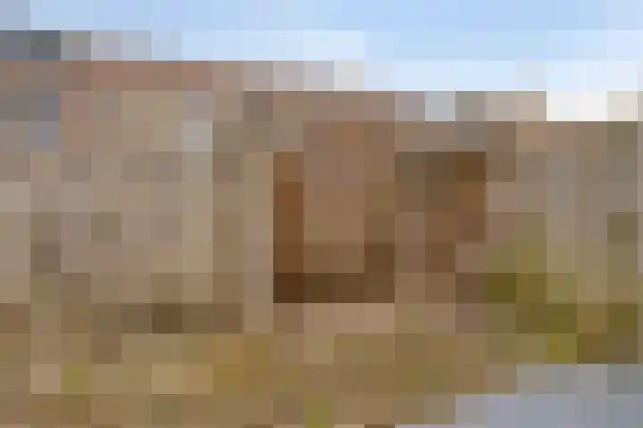 Kouwerve 5 Bergen op Zoom thumbnail 37