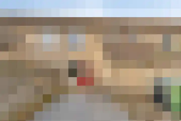 Kouwerve 5 Bergen op Zoom thumbnail 39