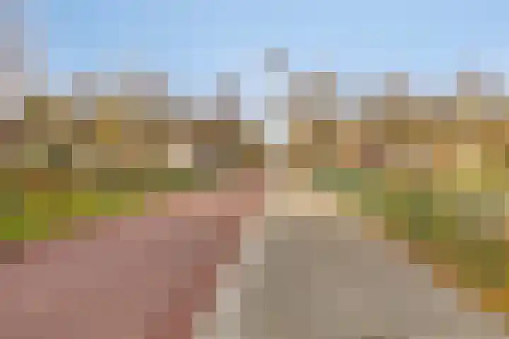 Kouwerve 5 Bergen op Zoom thumbnail 43