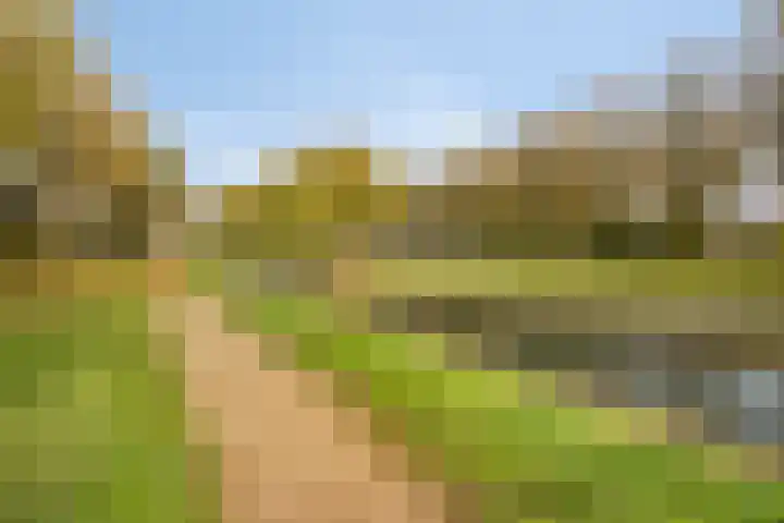 Kouwerve 5 Bergen op Zoom thumbnail 44