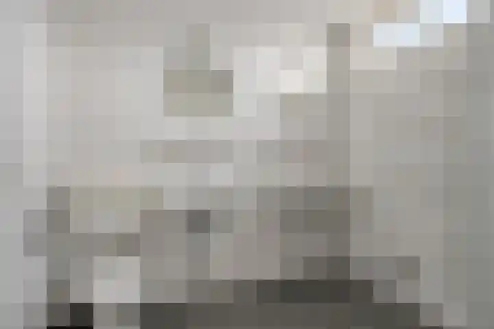 Kouwerve 5 Bergen op Zoom thumbnail 5