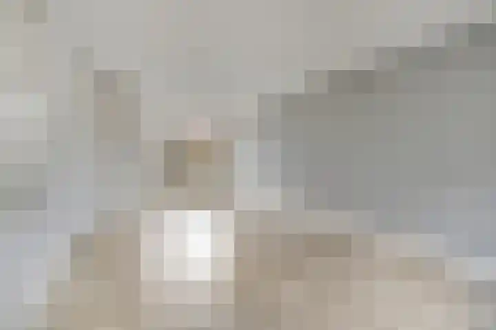 Kouwerve 5 Bergen op Zoom thumbnail 8