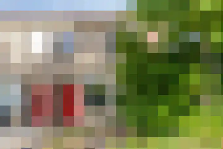 Kouwerve 8 in Bergen op Zoom