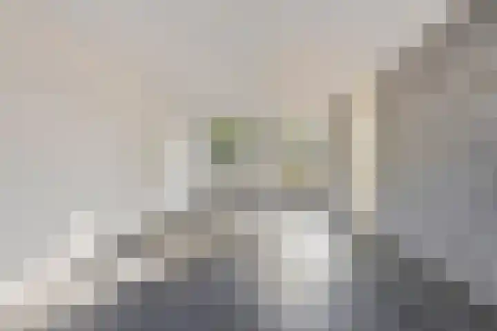 Kouwerve 8 Bergen op Zoom thumbnail 18