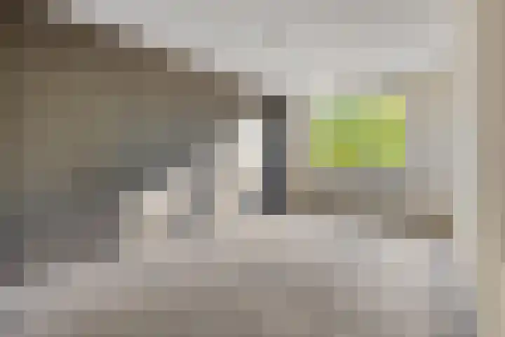 Kouwerve 8 Bergen op Zoom thumbnail 25