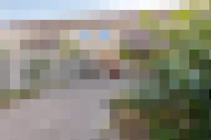 Kouwerve 8 Bergen op Zoom thumbnail 38