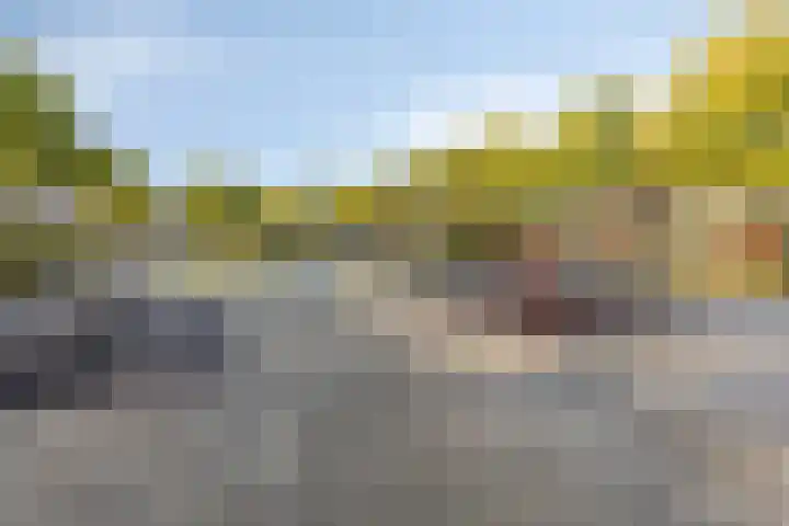 Kouwerve 8 Bergen op Zoom thumbnail 41