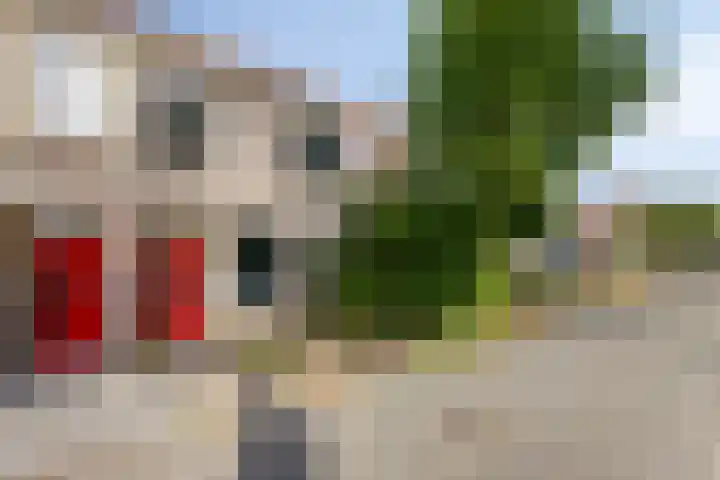 Kouwerve 8 Bergen op Zoom thumbnail 5