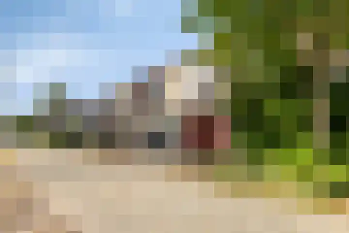 Kouwerve 8 Bergen op Zoom thumbnail 8