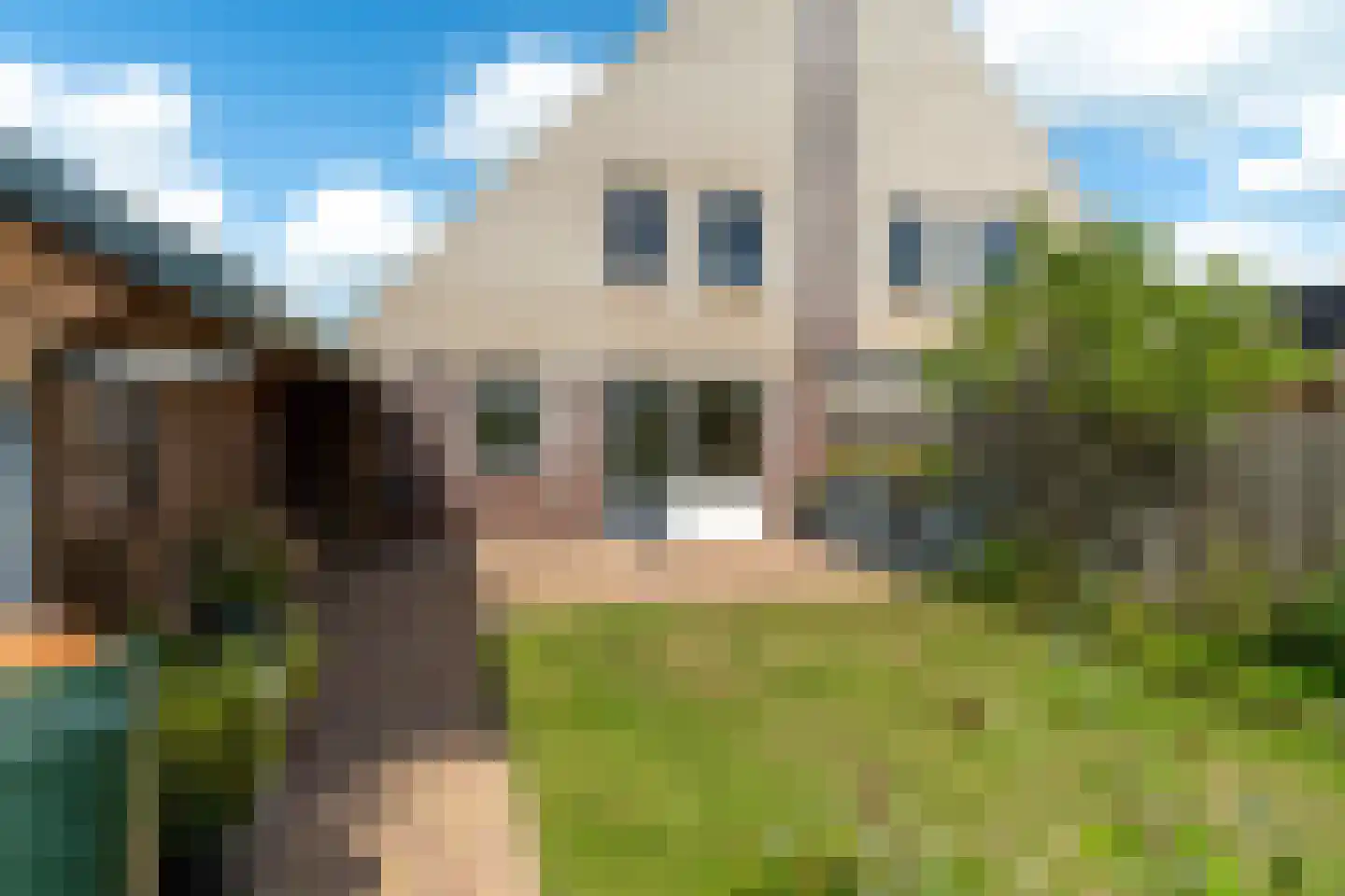 Koweblomke 13 c Damwâld thumbnail 34