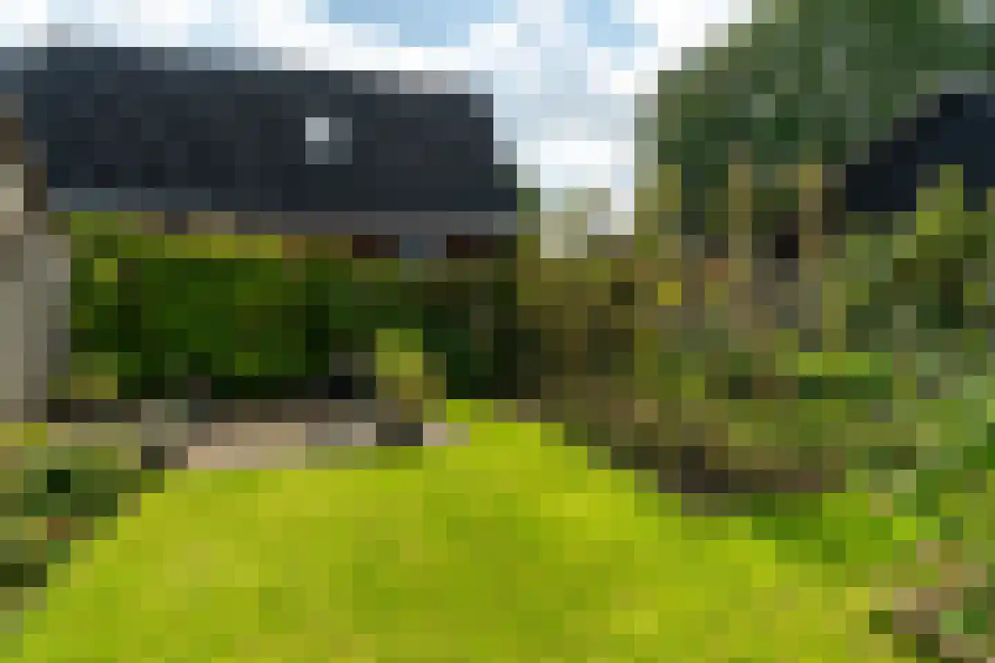 Koweblomke 13 c Damwâld thumbnail 36