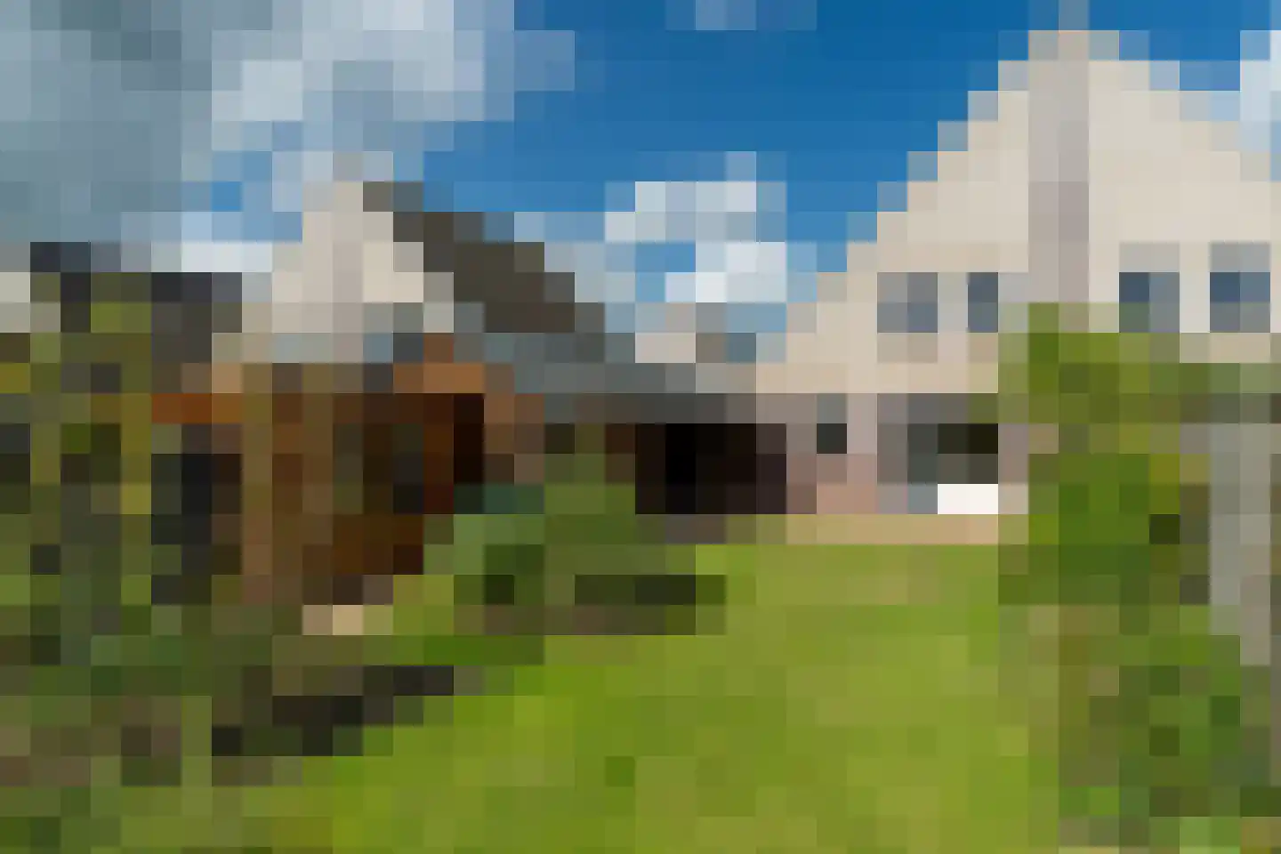 Koweblomke 13 c Damwâld thumbnail 7