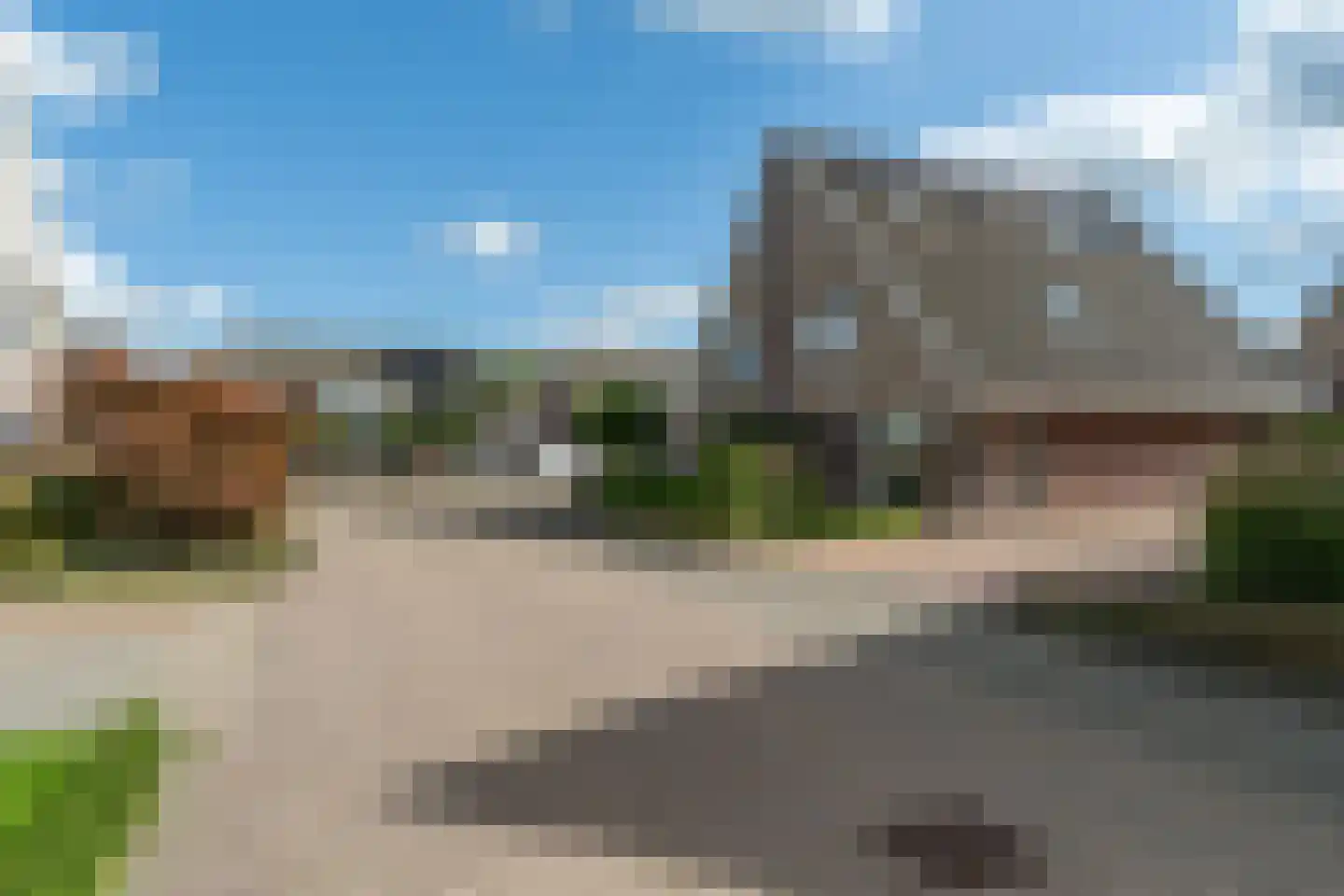 Koweblomke 13 c Damwâld thumbnail 8