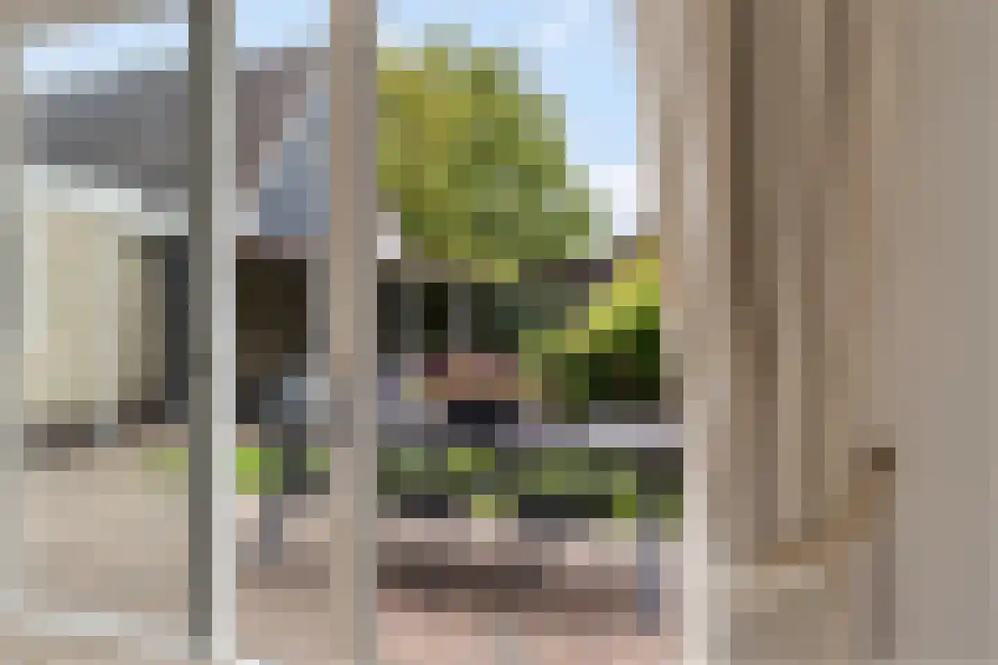 Koweblomke 49 Damwâld thumbnail 14
