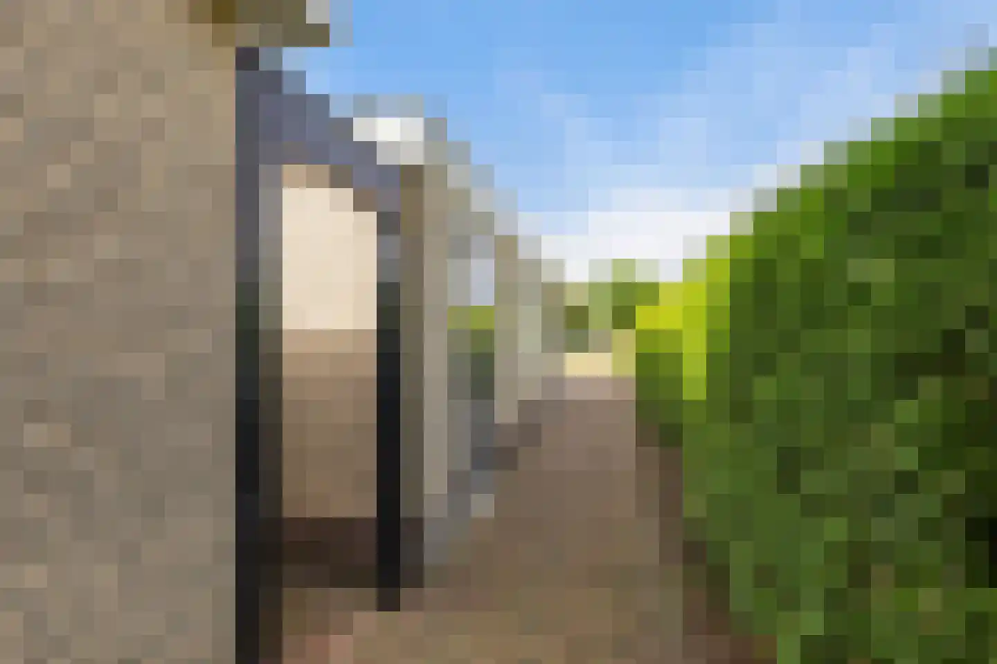 Koweblomke 49 Damwâld thumbnail 38