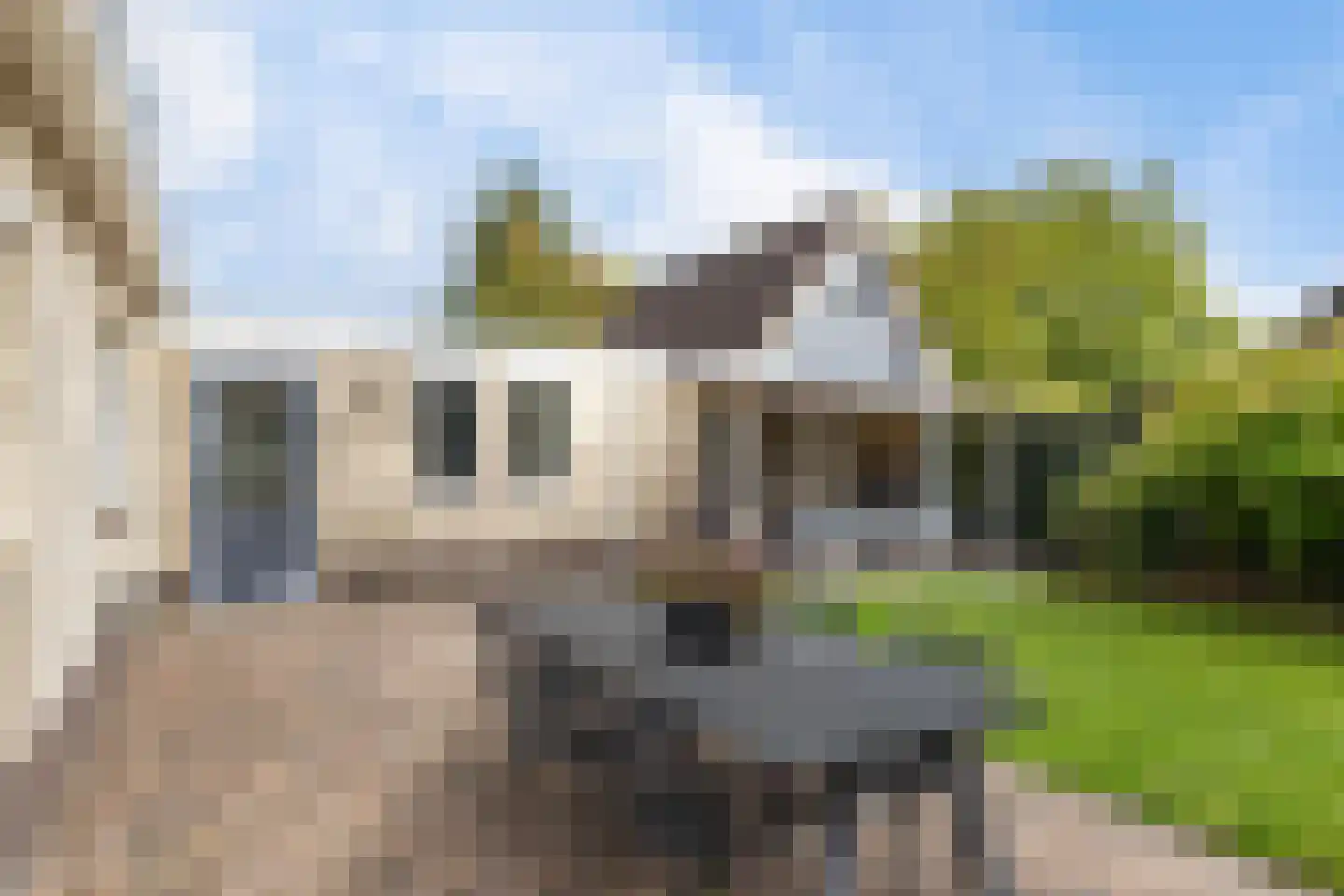 Koweblomke 49 Damwâld thumbnail 41