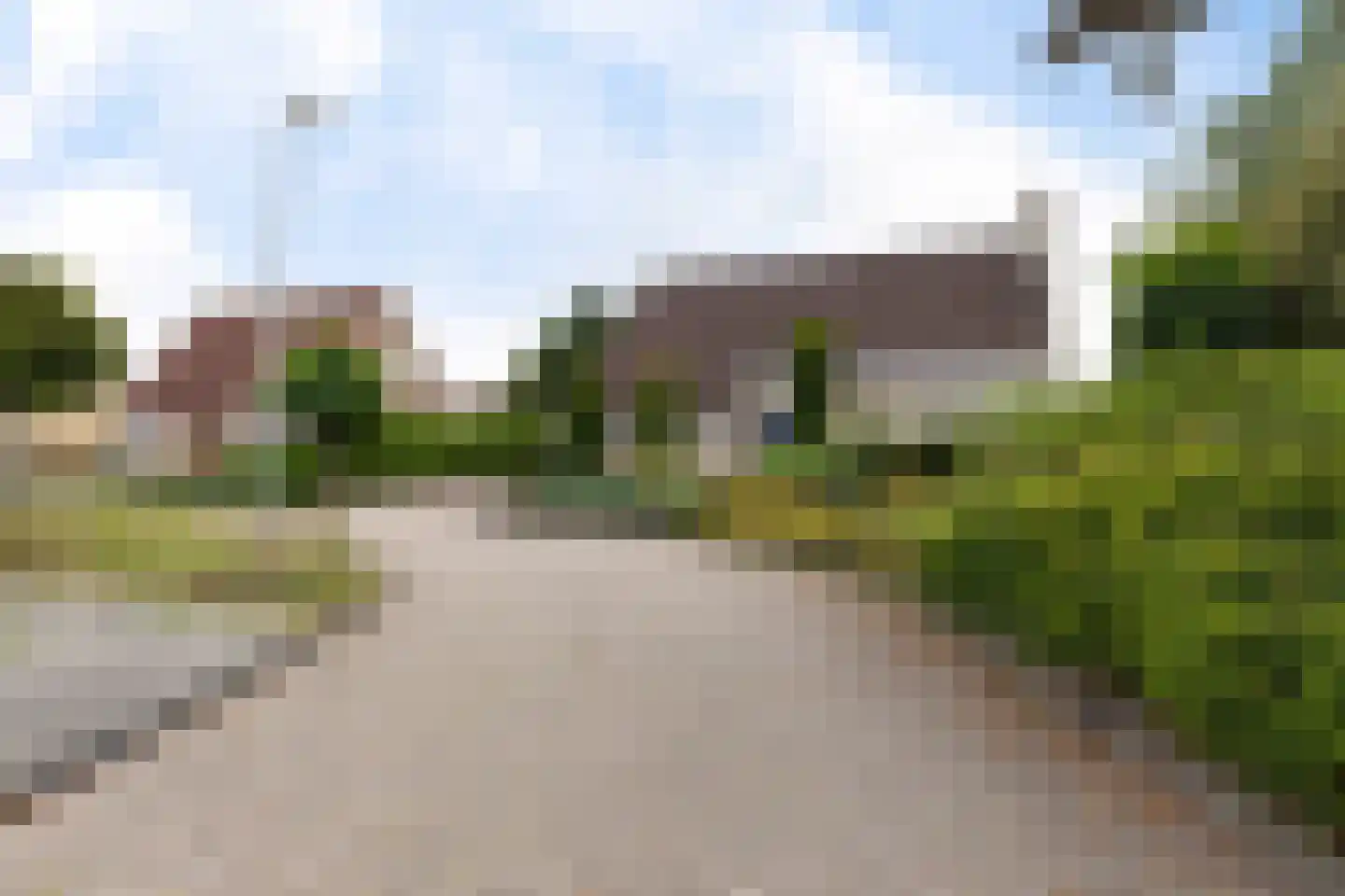 Koweblomke 49 Damwâld thumbnail 47