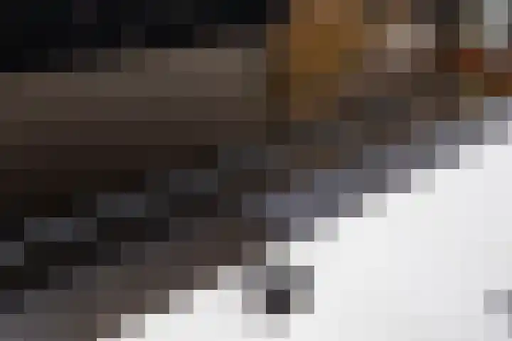 Koweblomke 53 Damwâld thumbnail 18