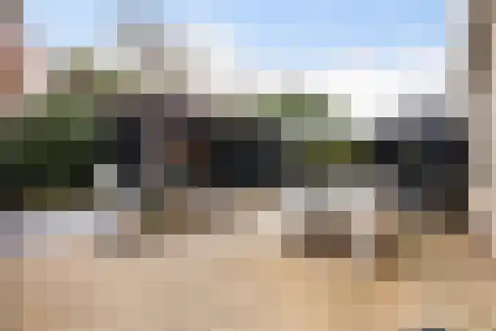 Koweblomke 53 Damwâld thumbnail 23