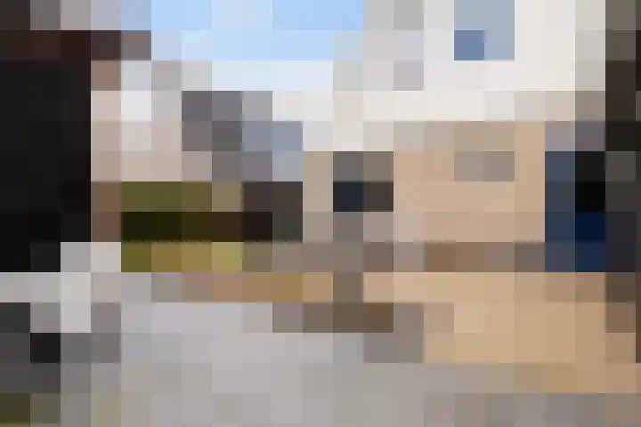 Koweblomke 53 Damwâld thumbnail 25