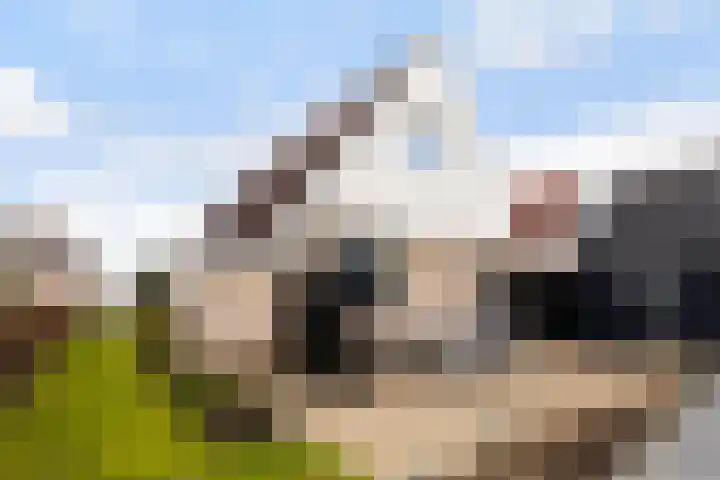 Koweblomke 53 Damwâld thumbnail 26
