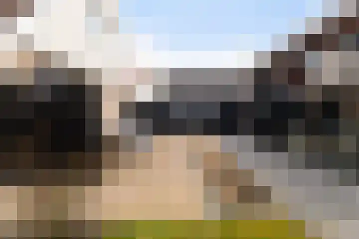 Koweblomke 53 Damwâld thumbnail 27