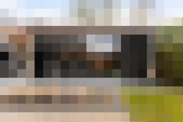 Koweblomke 53 Damwâld thumbnail 28