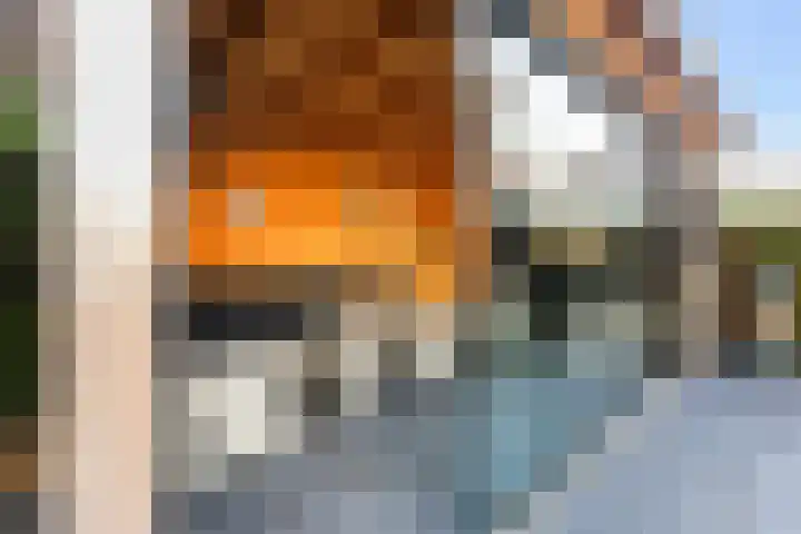 Koweblomke 53 Damwâld thumbnail 29