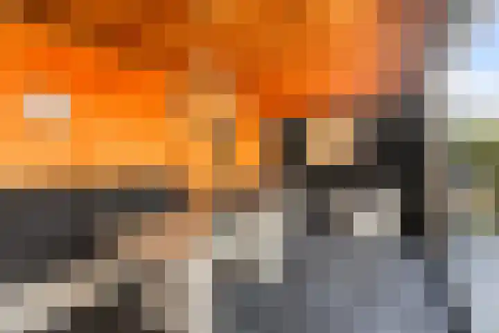 Koweblomke 53 Damwâld thumbnail 30