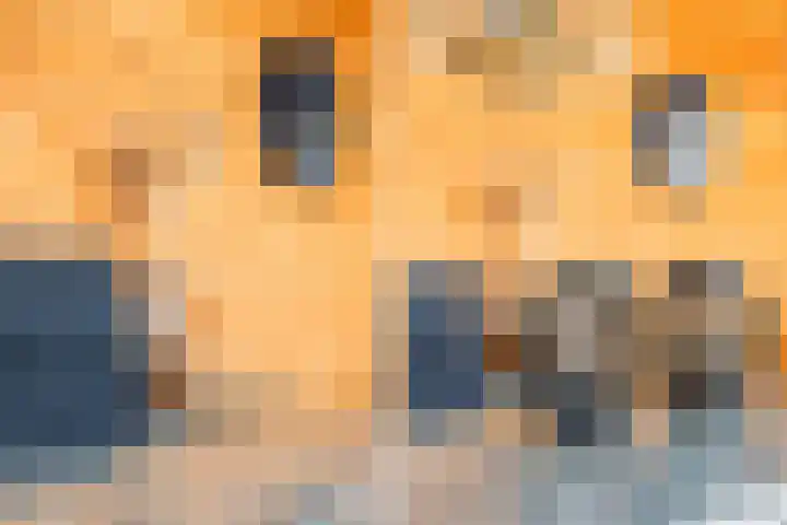 Koweblomke 53 Damwâld thumbnail 33