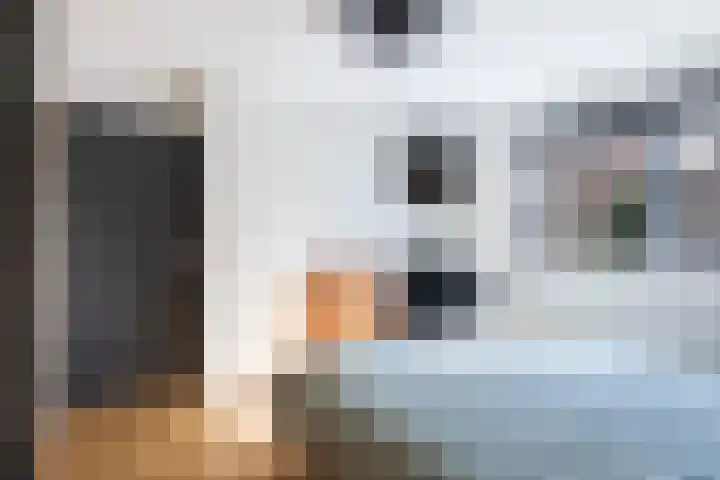 Koweblomke 53 Damwâld thumbnail 35