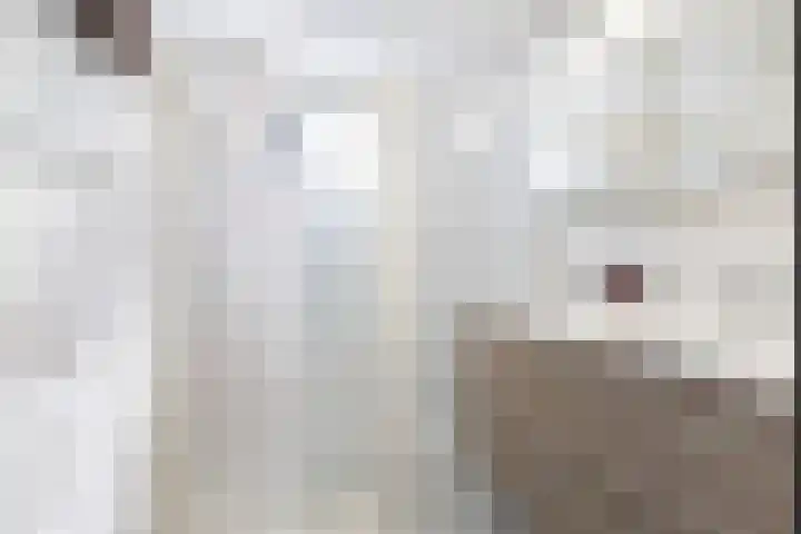 Koweblomke 53 Damwâld thumbnail 36