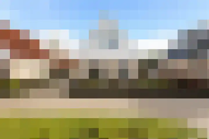 Koweblomke 53 Damwâld thumbnail 5