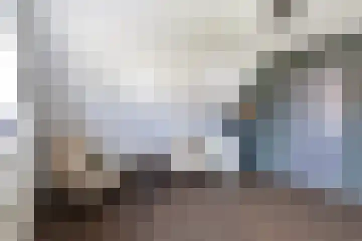 Koweblomke 53 Damwâld thumbnail 51