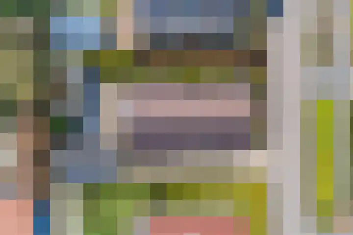 Koweblomke 53 Damwâld thumbnail 52