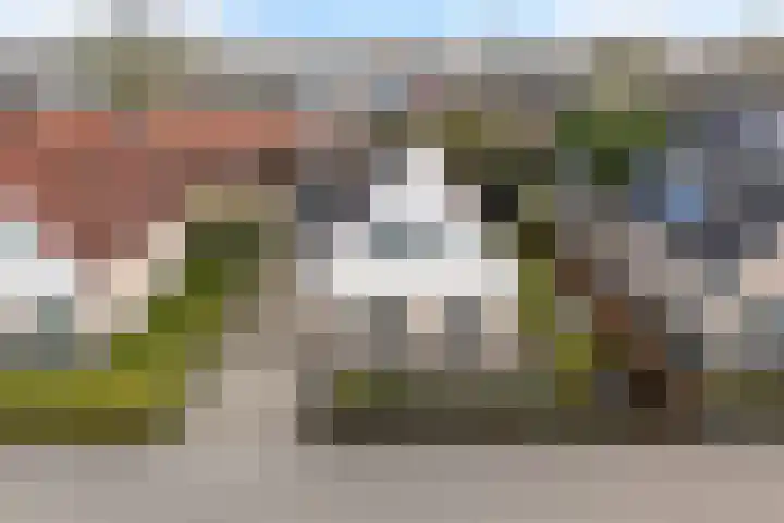 Koweblomke 53 Damwâld thumbnail 53