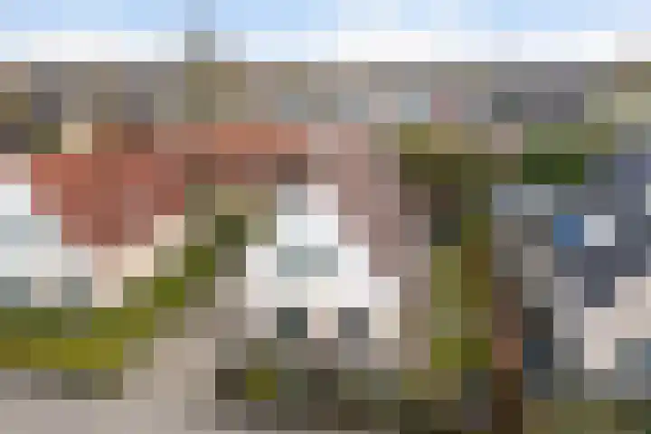 Koweblomke 53 Damwâld thumbnail 54