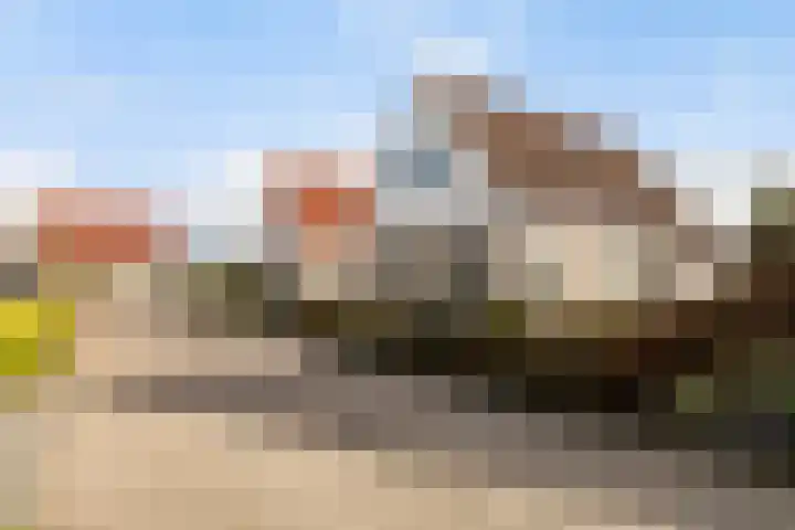 Koweblomke 53 Damwâld thumbnail 6
