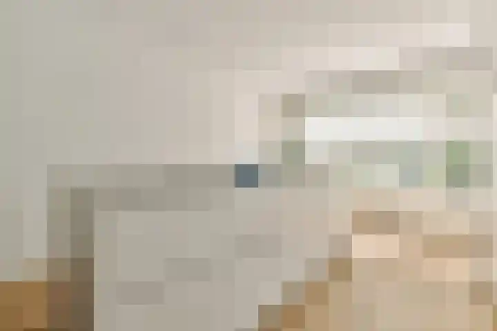 Koxhorn 11 3 Amsterdam thumbnail 10