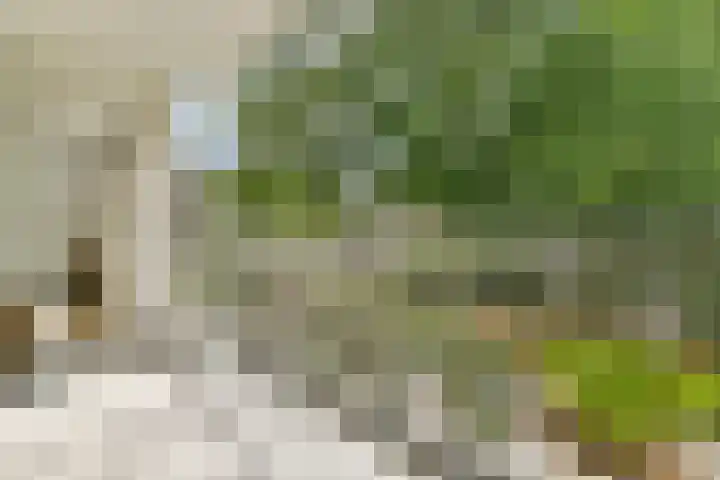 Koxhorn 11 3 Amsterdam thumbnail 12
