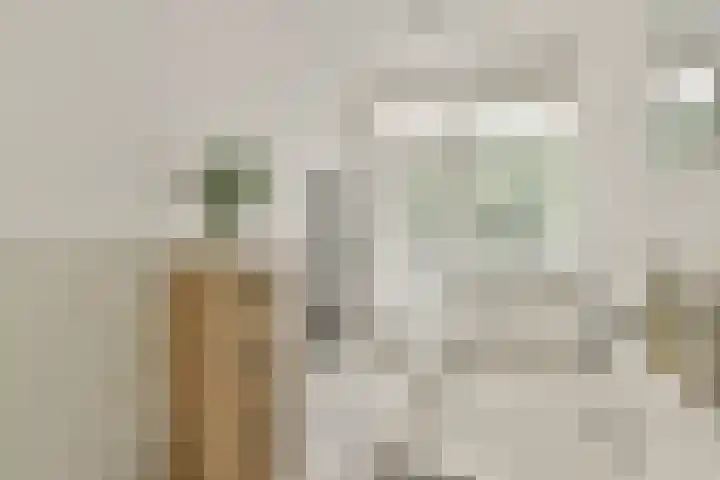 Koxhorn 11 3 Amsterdam thumbnail 19