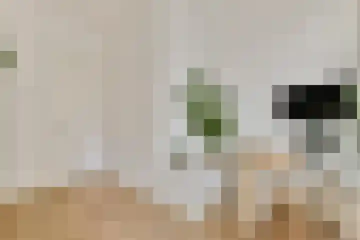Koxhorn 11 3 Amsterdam thumbnail 22