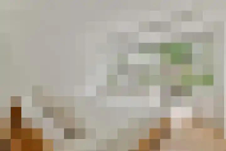 Koxhorn 11 3 Amsterdam thumbnail 24